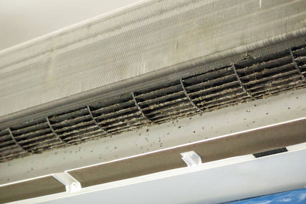 Best Duct Cleaning for Homes  in Camn, DE